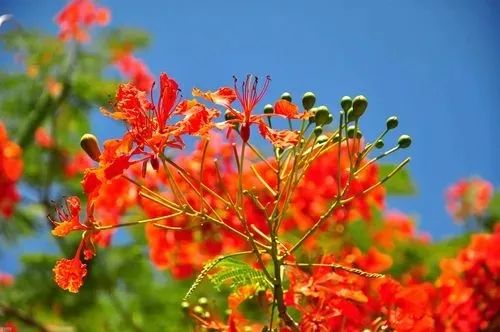 1687676799380339.jpg 1687676799380339.jpg