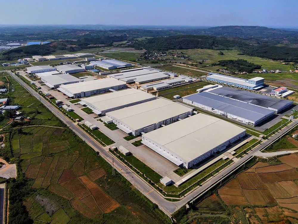 1687677132185946.jpg 1687677132185946.jpg